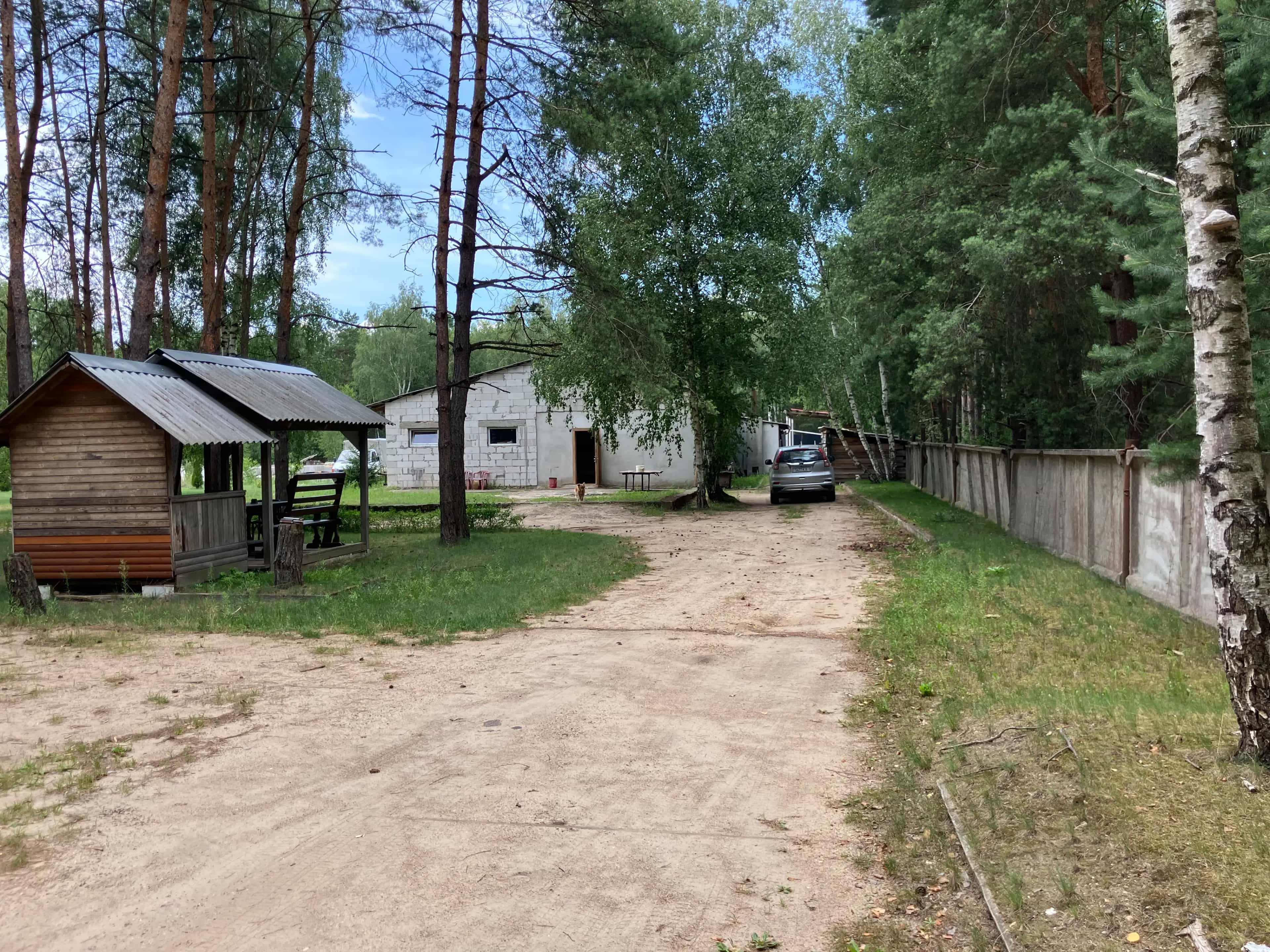 Беларусь, Брестский район, Мухавецкий сельсовет, 17, фото 6
