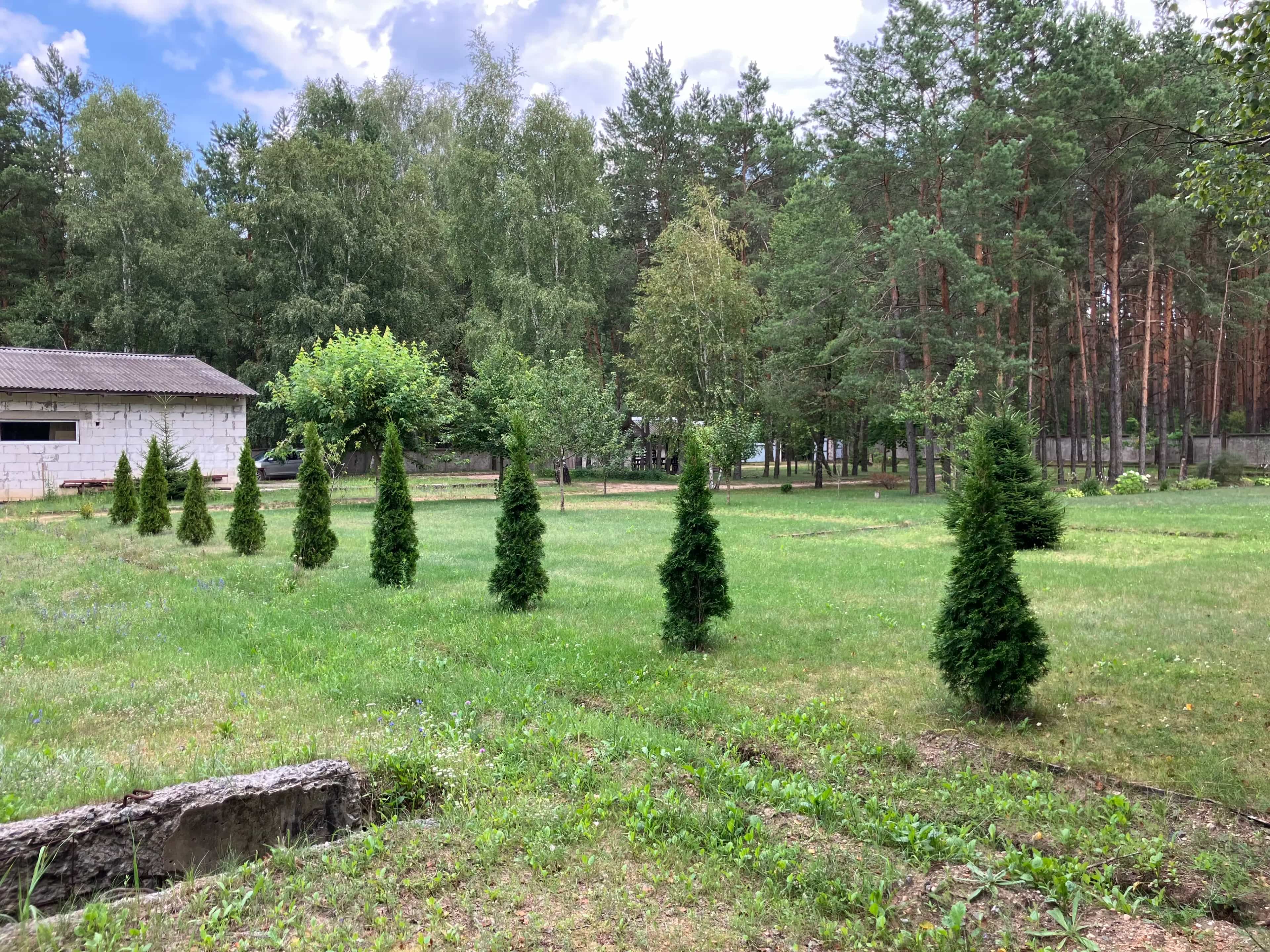 Беларусь, Брестский район, Мухавецкий сельсовет, 17, фото 12