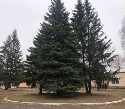 Беларусь, Гомельская область, Жлобин, Северная улица, 4/20, фото 12