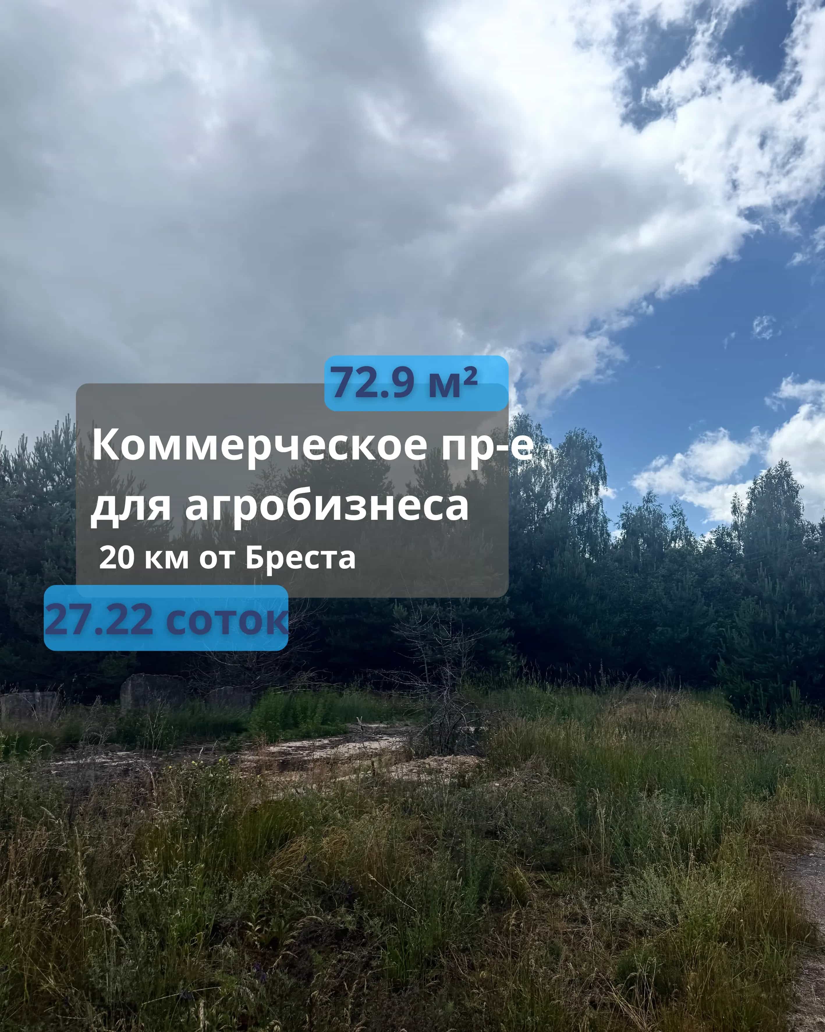 Беларусь, Брестская область, Каменецкий район, Видомлянский сельсовет, агрогородок Турна Большая, Каменецкая улица, 3А
