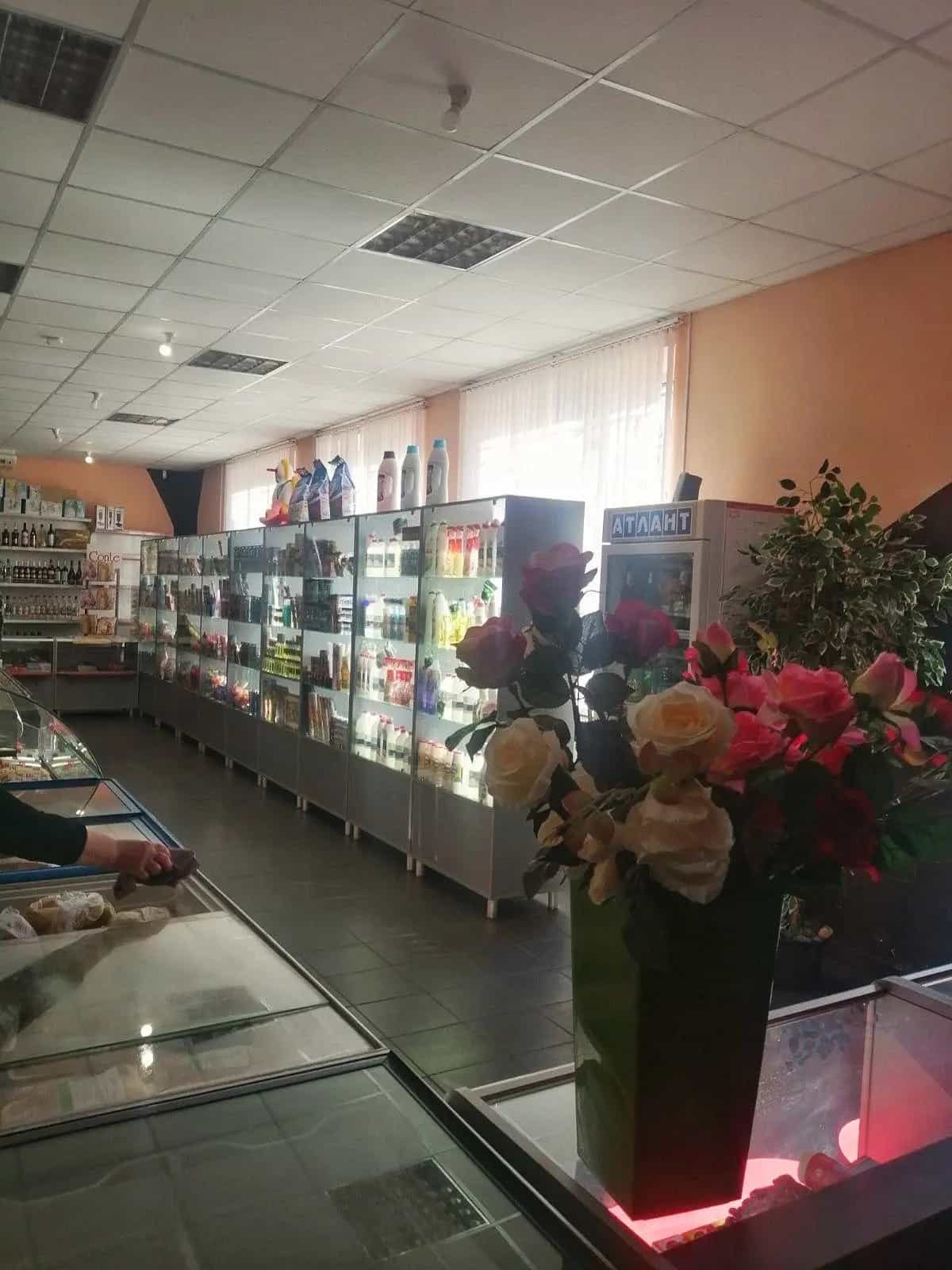 Беларусь, Минская область, Крупский район, Игрушковский сельсовет, деревня Каменка, Магистральная улица, 7А, фото 8