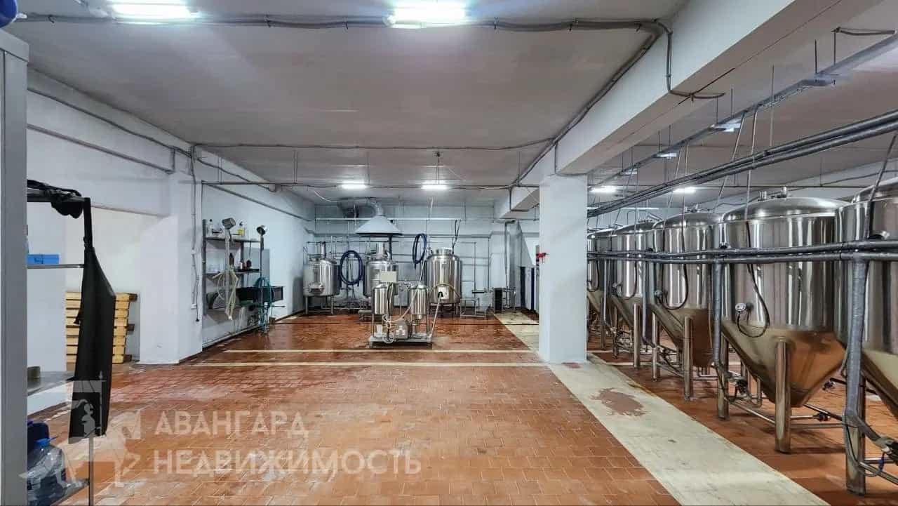 Беларусь, Минская область, Логойский район, Янушковичский сельсовет, деревня Жабичи, Полевая улица, 2, фото 6