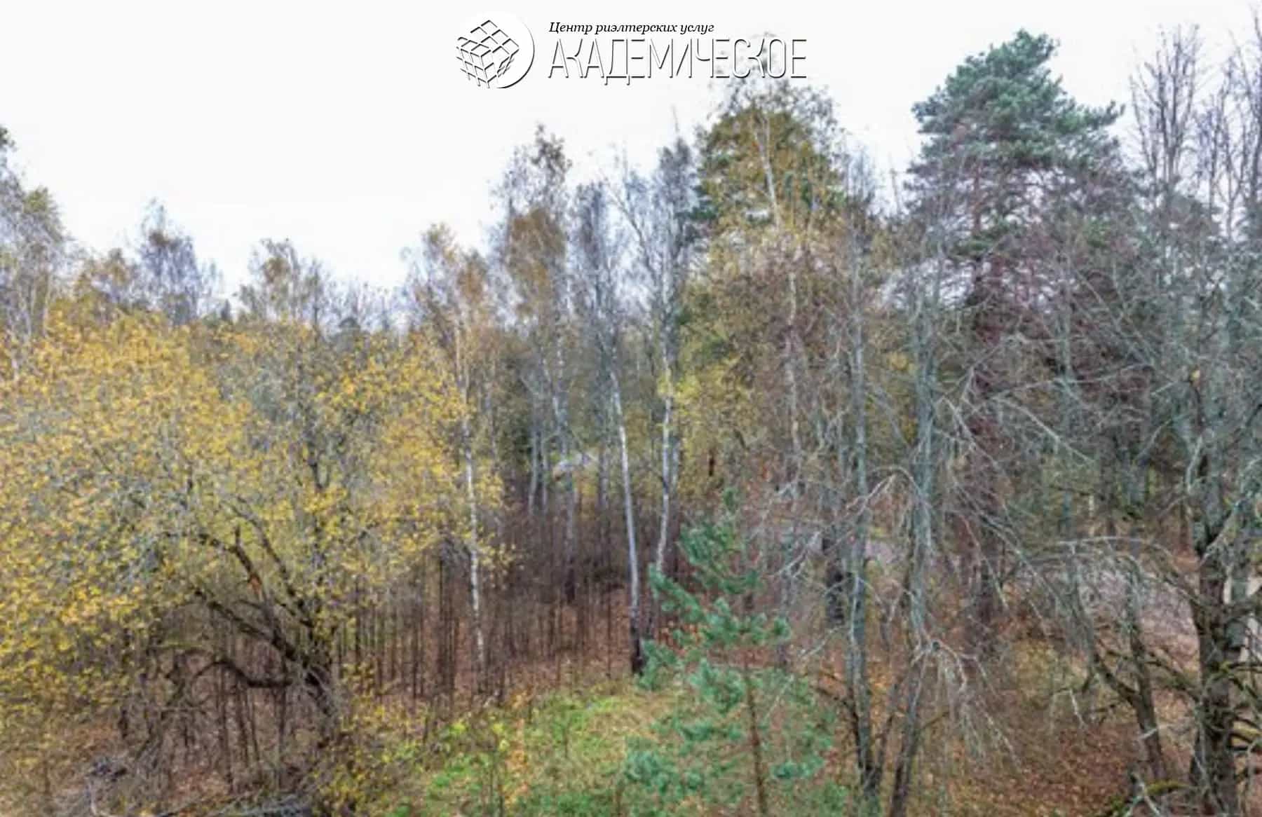Беларусь, Минская область, Логойский район, Плещеницкий сельсовет, городской посёлок Плещеницы, Октябрьская улица, 40, фото 39