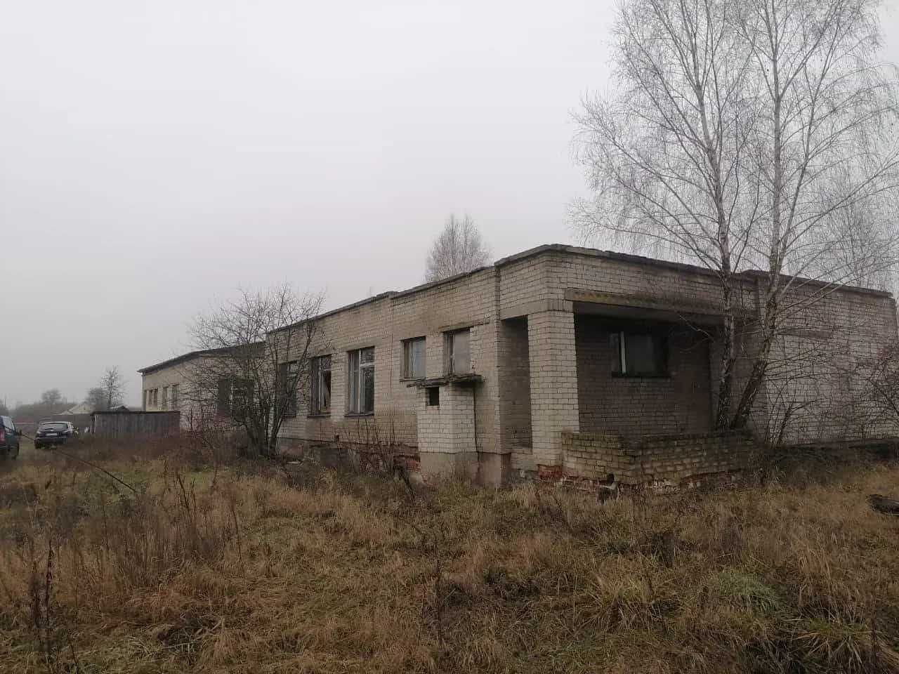Беларусь, Могилёвская область, Глусский район, Козловичский сельсовет, деревня Балашевичи, улица Мира, 9