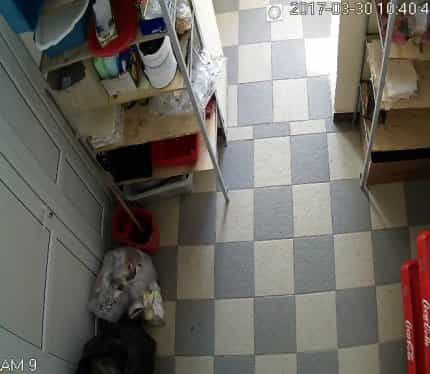 Беларусь, Брестская область, Пинск, улица Достоевского, 28, фото 8