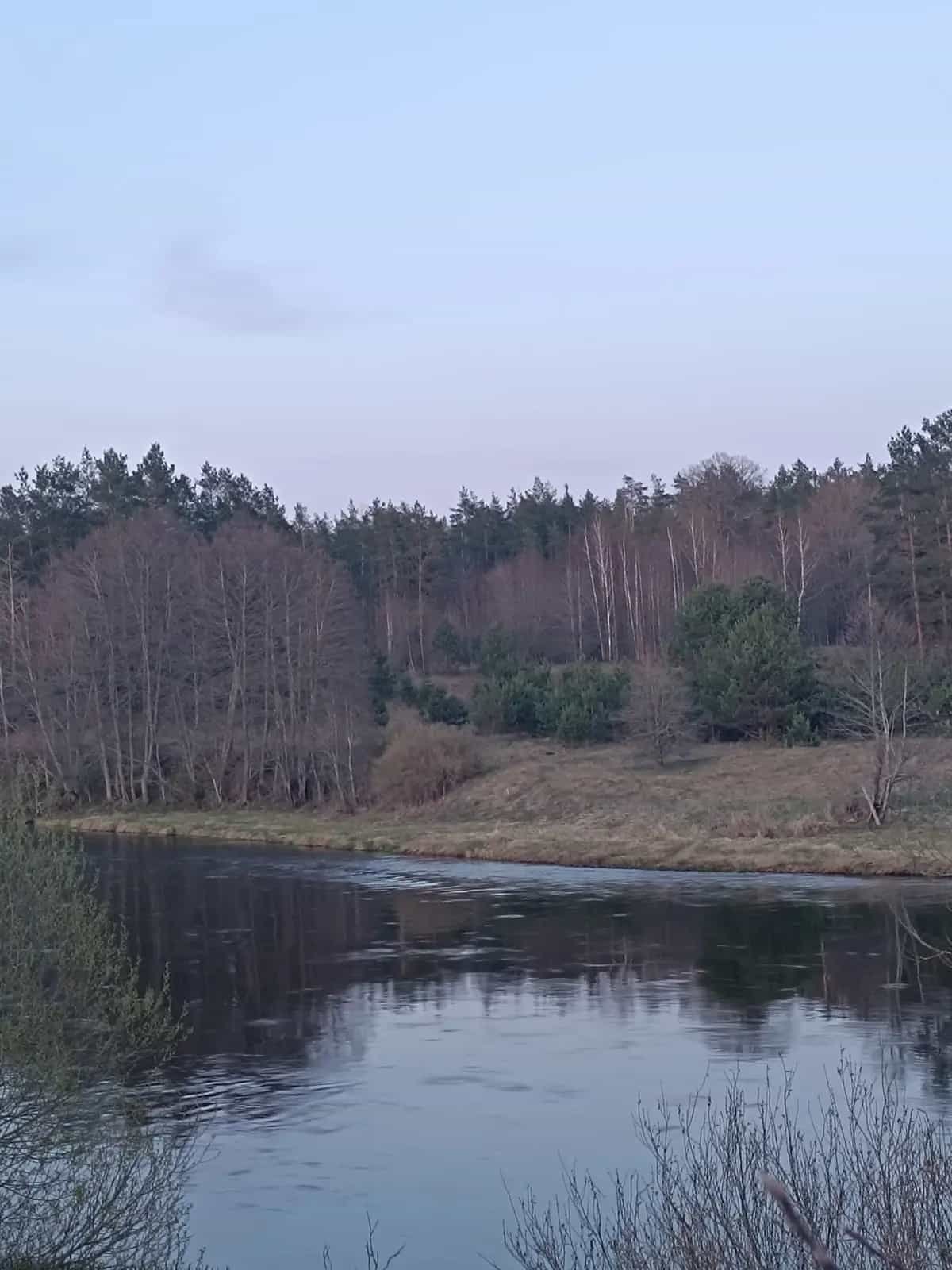 Беларусь, Гродненская область, Островецкий район, Ворнянский сельсовет, деревня Быстрица, Школьная улица, 3, фото 4