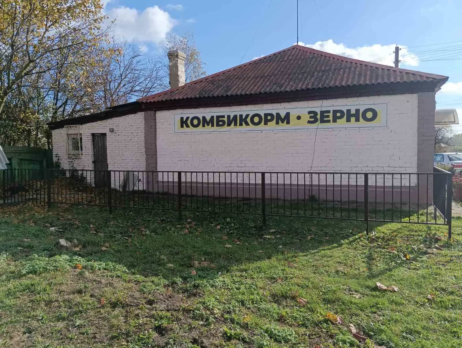 Беларусь, Минская область, Солигорский район, Краснодворский сельсовет, деревня Радково, Центральная улица, 40, фото 3
