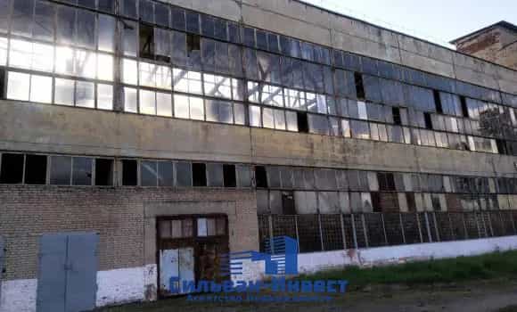 Беларусь, Могилёвская область, Осиповичский район, рабочий посёлок Елизово, улица Калинина, 6, фото 8