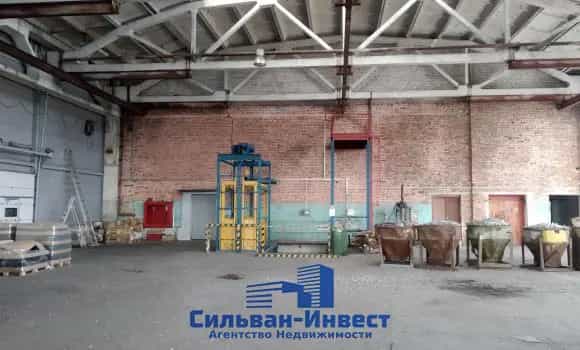 Беларусь, Могилёвская область, Осиповичский район, рабочий посёлок Елизово, улица Калинина, 6, фото 9
