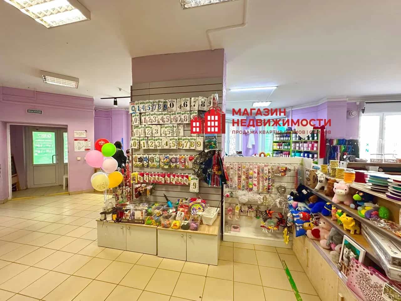 Беларусь, Гродно, улица Кабяка, 8, фото 3