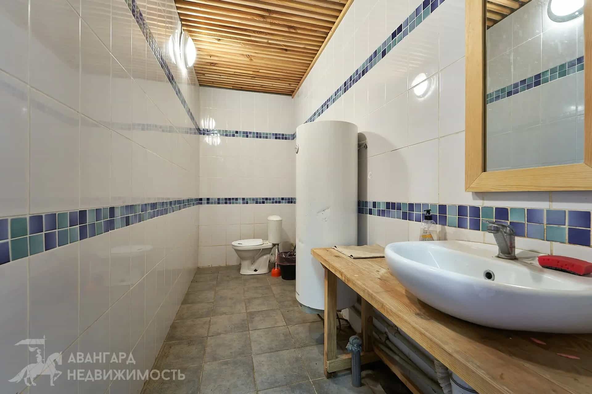 Беларусь, Минская область, Логойский сельсовет, агрогородок Косино, Промышленная улица, 4, фото 10