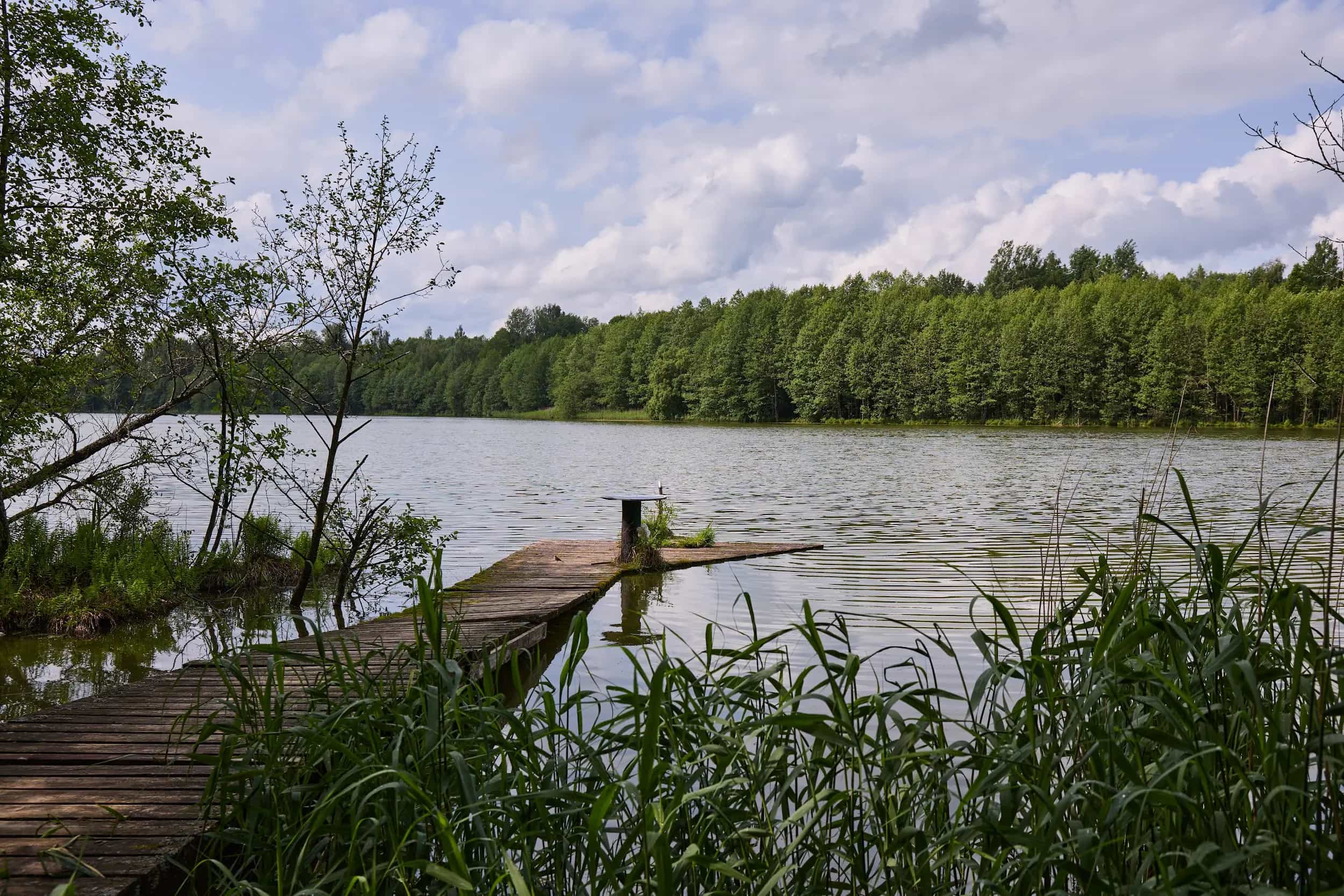 Беларусь, Витебский район, Шапечинский сельсовет, посёлок Липовцы, Приозёрная улица, 1, фото 39