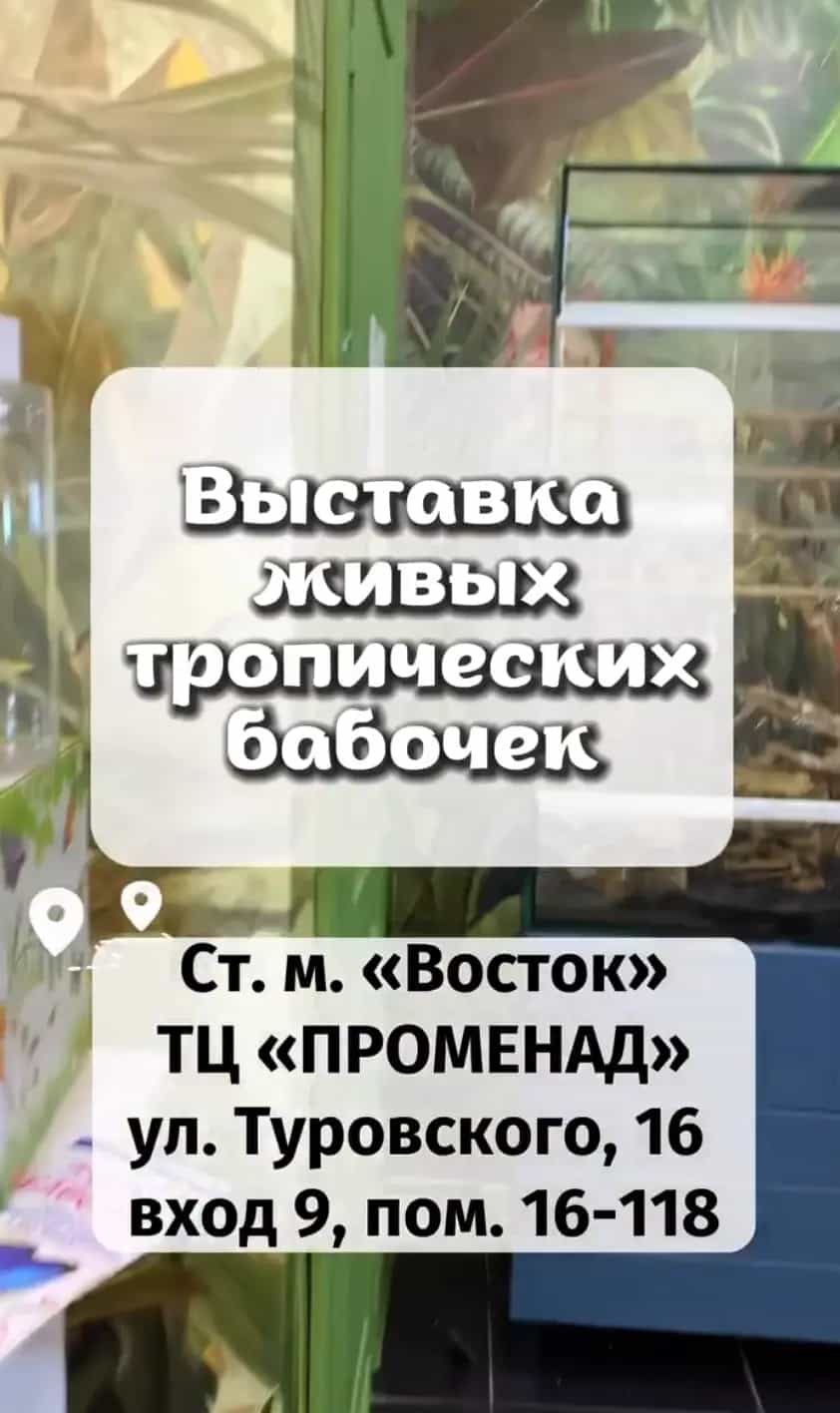 Беларусь, Минск, улица Кирилла Туровского, 16, фото 16