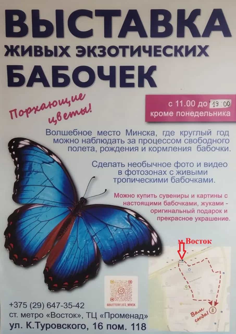 Беларусь, Минск, улица Кирилла Туровского, 16, фото 21
