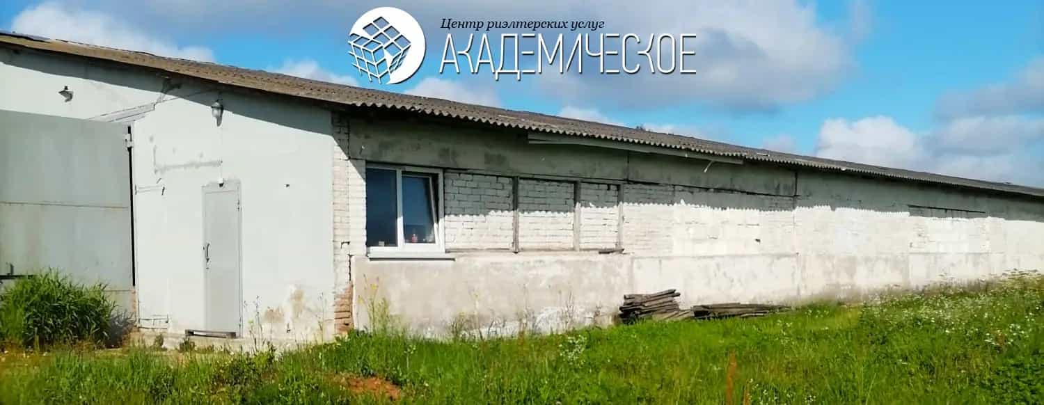 Беларусь, Витебский район, Мазоловский сельсовет, деревня Сокольники, Высокая улица, 16, фото 3