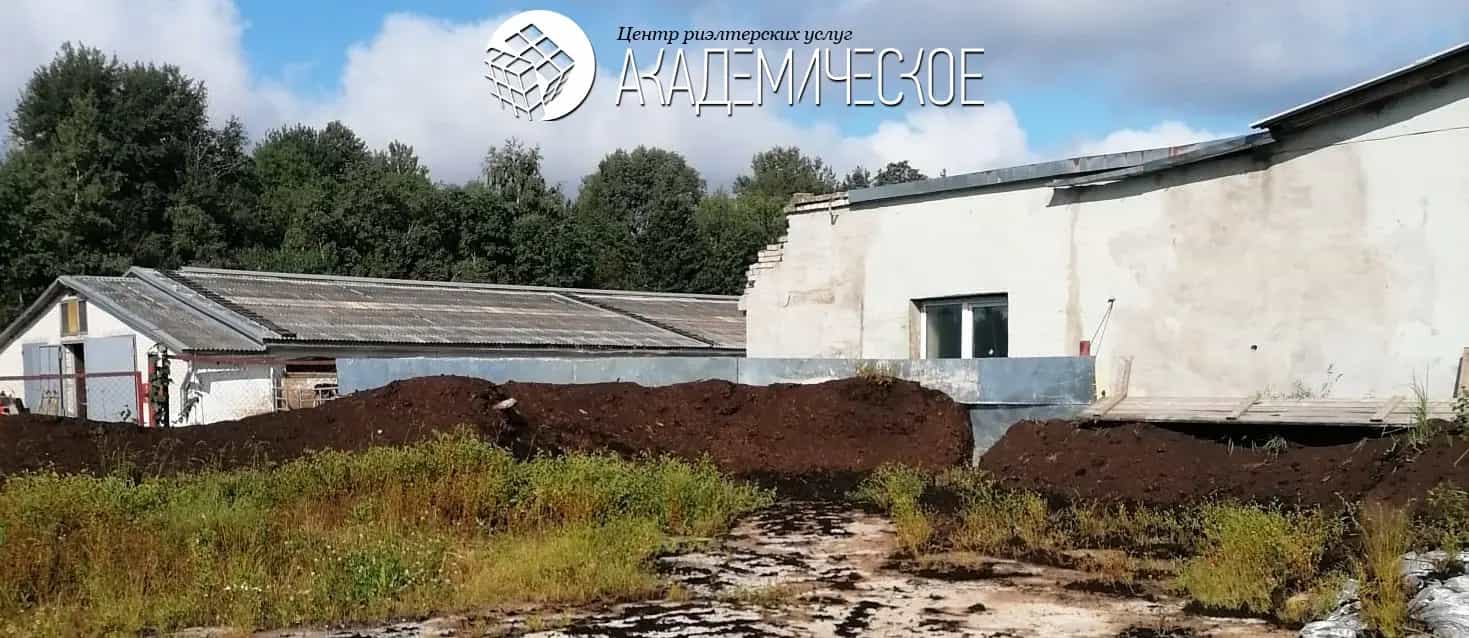 Беларусь, Витебский район, Мазоловский сельсовет, деревня Сокольники, Высокая улица, 16, фото 4
