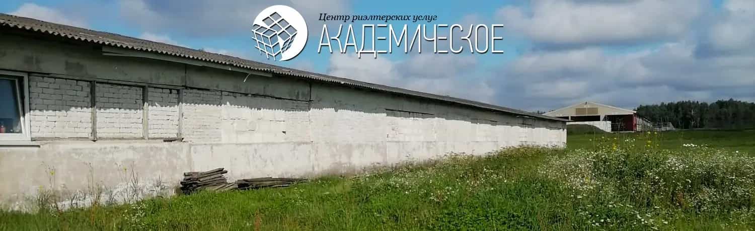 Беларусь, Витебский район, Мазоловский сельсовет, деревня Сокольники, Высокая улица, 16, фото 6