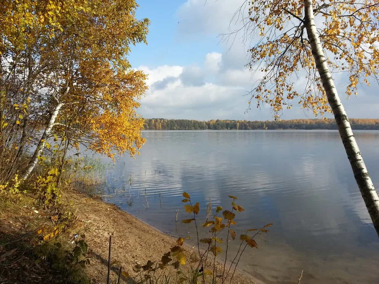 Беларусь, Минская область, Крупский район, Октябрьский сельсовет, агрогородок Колодница, Центральная улица, 108, фото 8