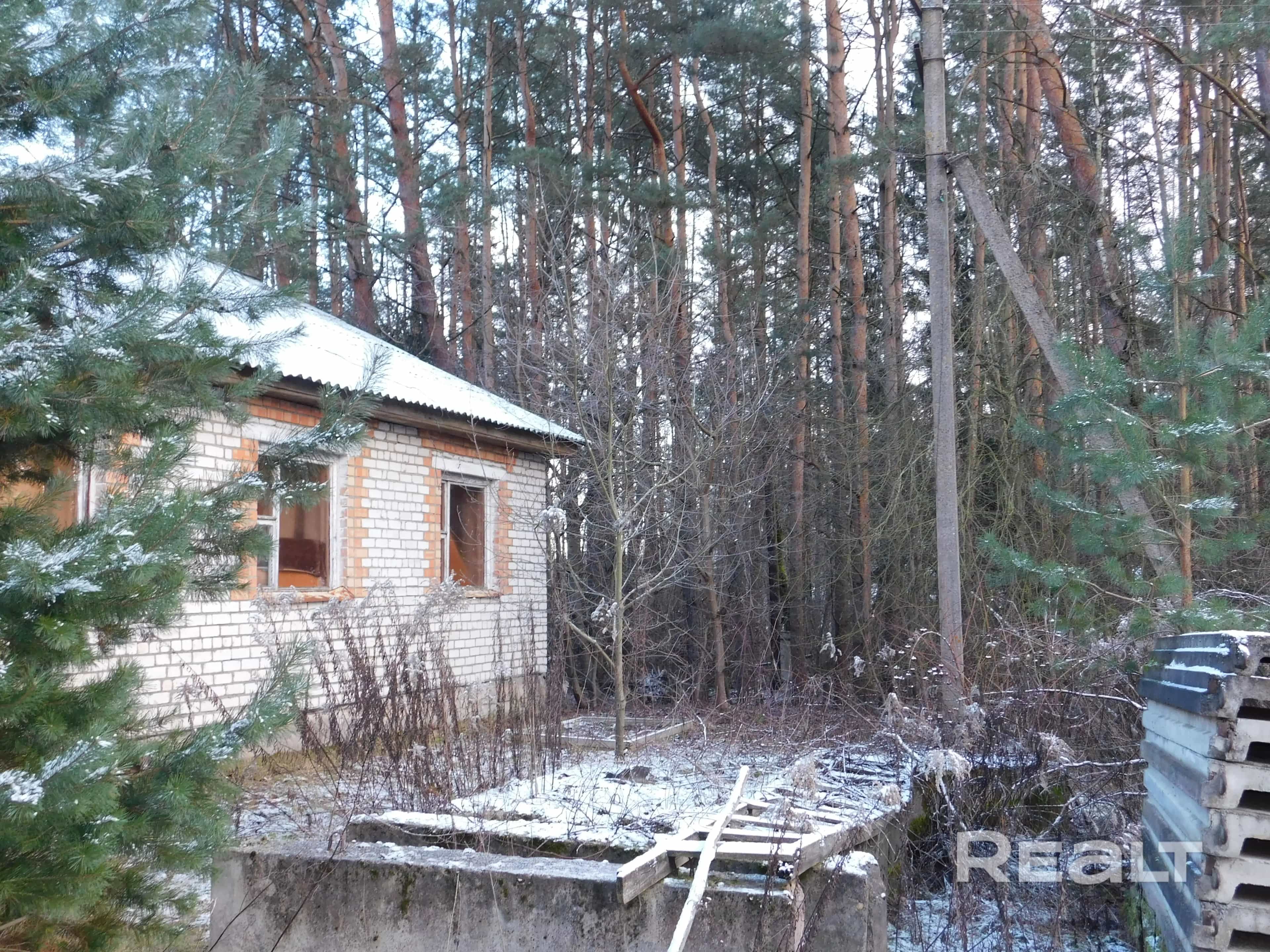 Беларусь, Минская область, Смолевичский район, Озерицко-Слободской сельсовет, деревня Задомля, Солнечная улица, 1, фото 12