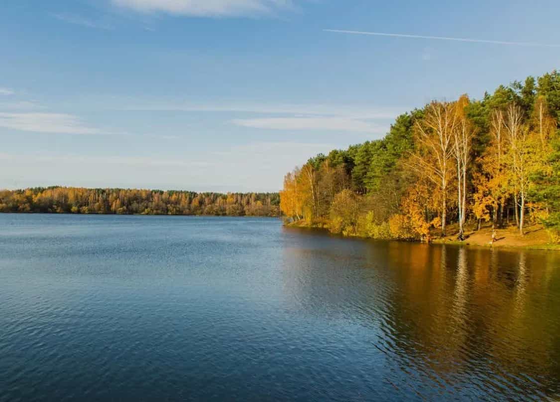 Беларусь, Минская область, Логойский район, Беларучский сельсовет, деревня Мочаны, Заречная улица, 32, фото 6