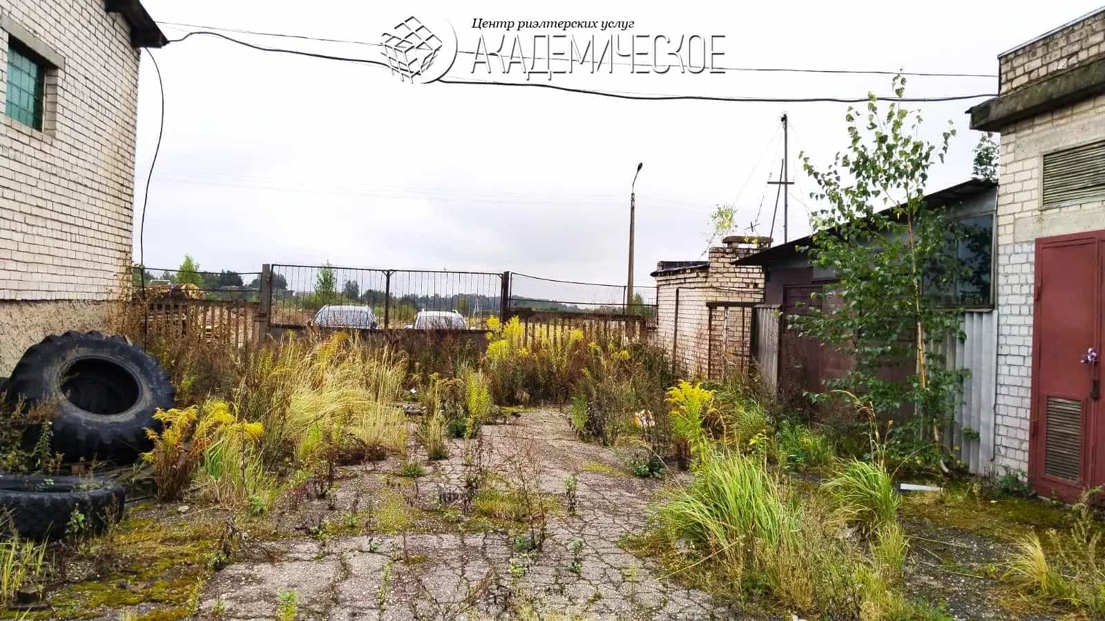 Беларусь, Витебск, улица 39-й Армии, 54, фото 5