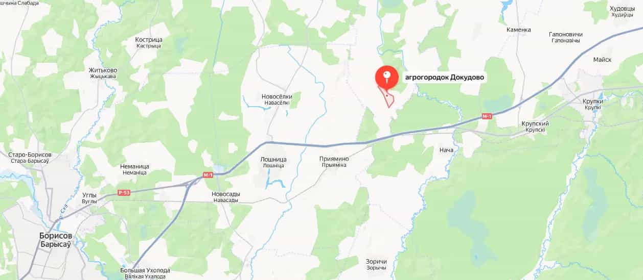 Беларусь, Минская область, Крупский район, Хотюховский сельсовет, агрогородок Докудово, Садовый переулок, 2, фото 47