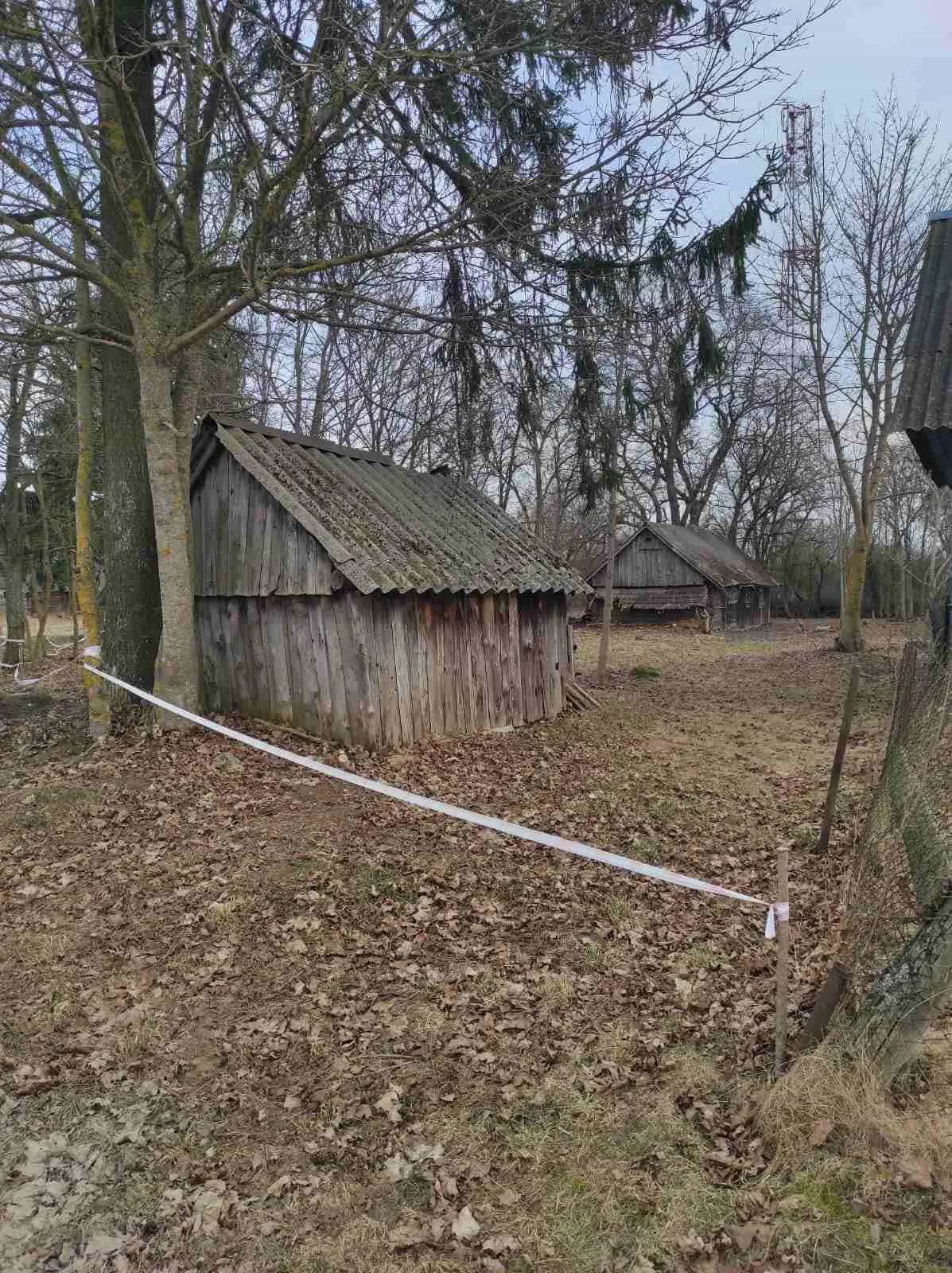 Беларусь, Минская область, Воложинский сельсовет, агрогородок Саковщина, Центральная улица, 25, фото 3