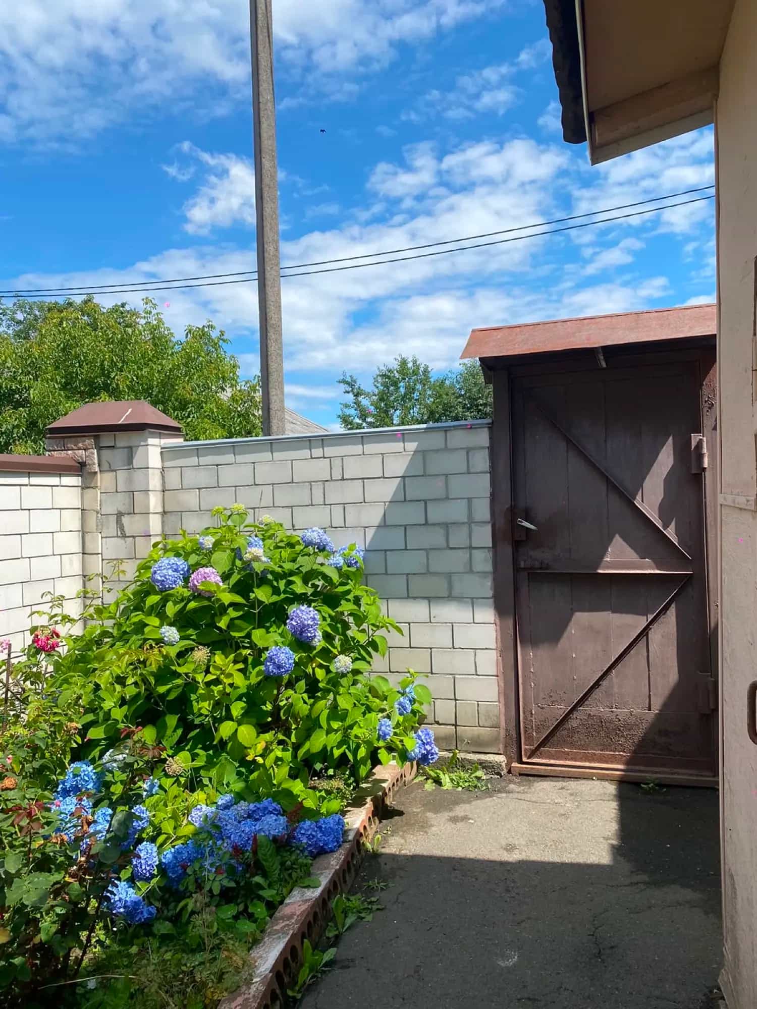 Беларусь, Гомель, улица Шмидта, 1А, фото 2