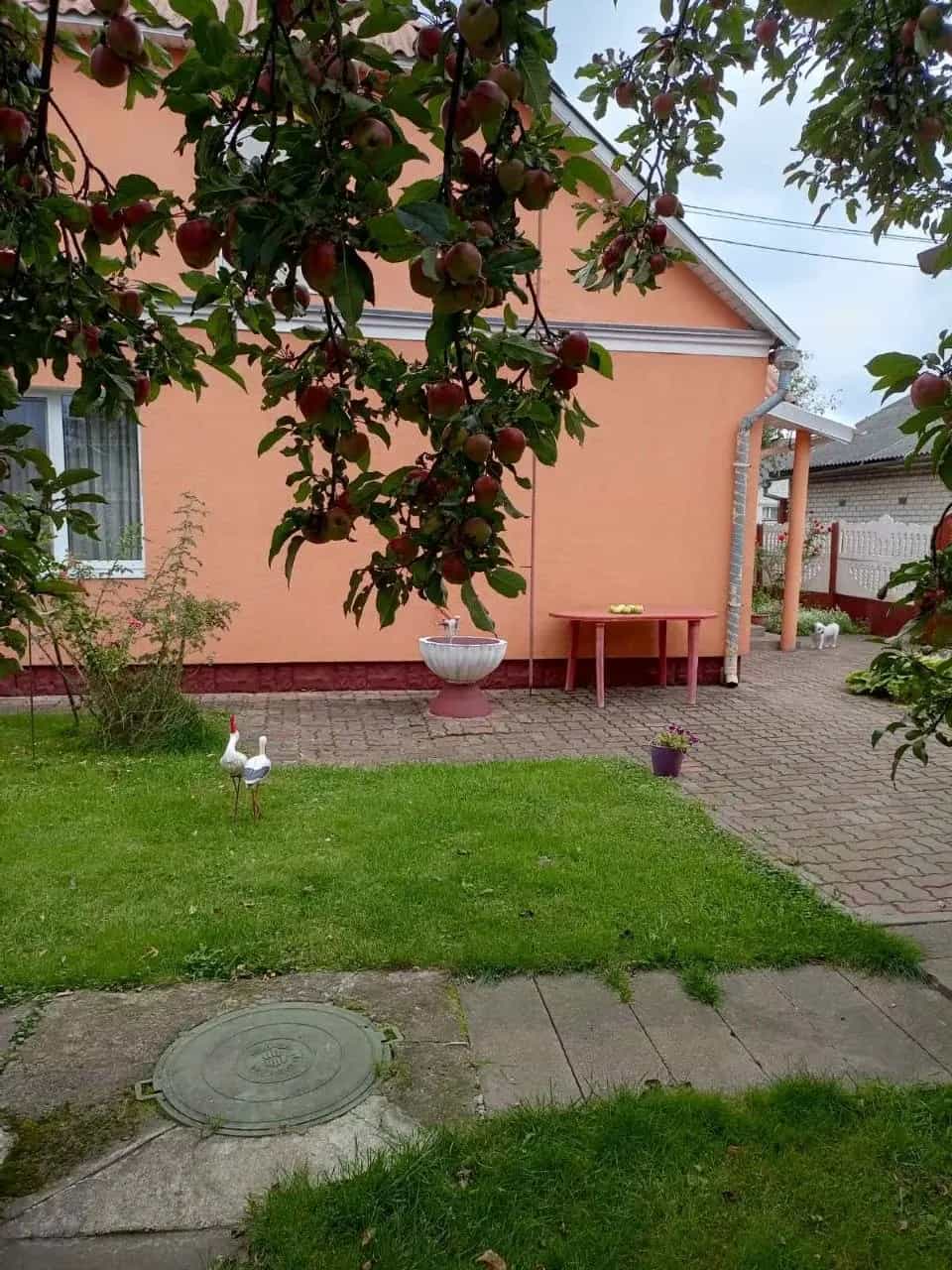 Беларусь, Брестская область, Барановичи, улица Холостякова, 41, фото 3