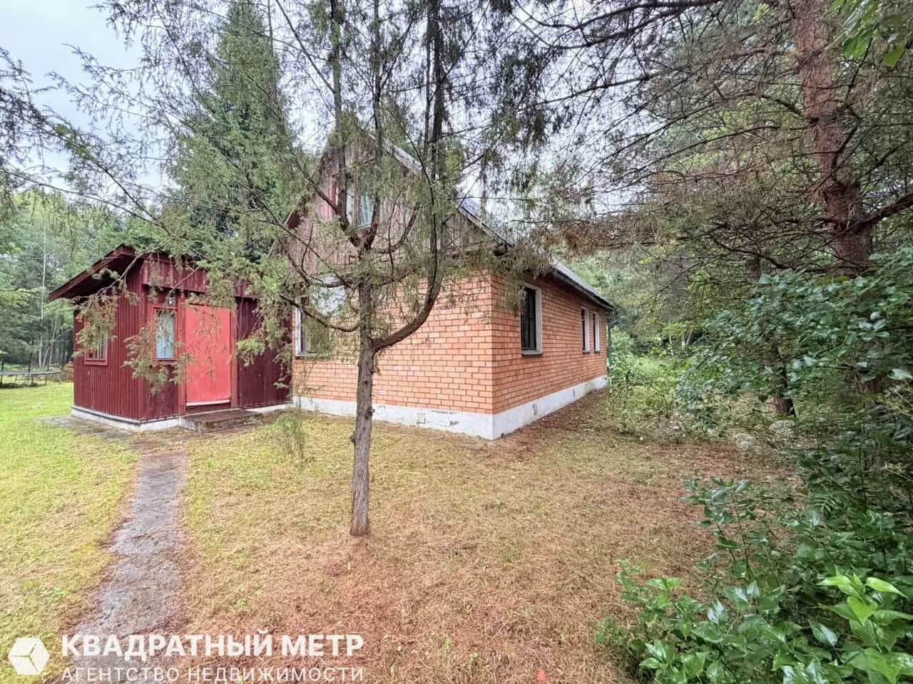 Беларусь, Минская область, Воложинский район, Першайский сельсовет, деревня Петровичи, 19А, фото 23