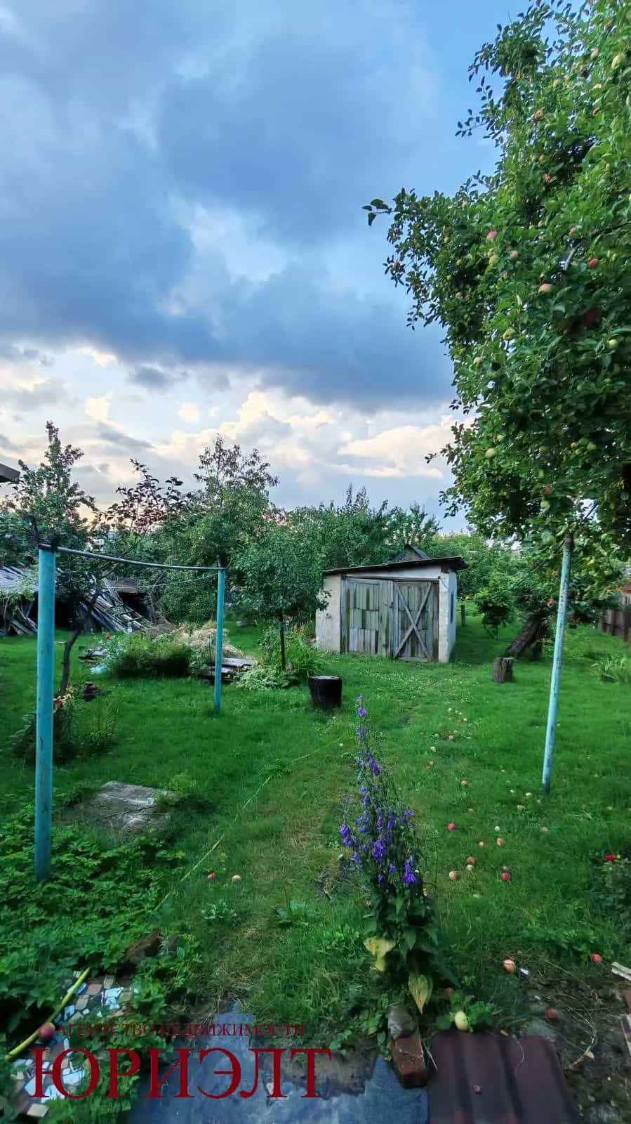 Беларусь, Гомель, Быховская улица, 86, фото 11