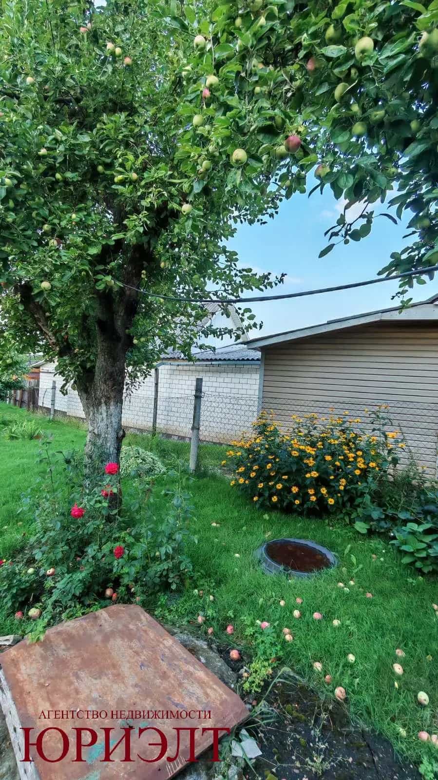 Беларусь, Гомель, Быховская улица, 86, фото 12