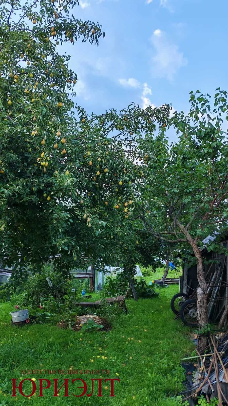 Беларусь, Гомель, Быховская улица, 86, фото 14