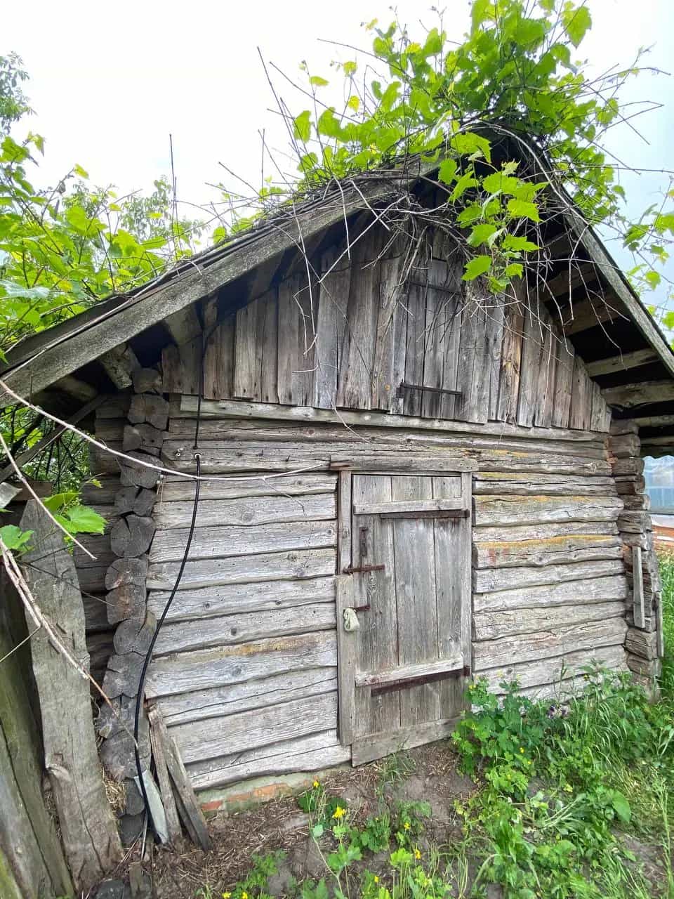 Беларусь, Гомельская область, Калинковичский район, Чкаловский сельсовет, деревня Луки, Новая улица, 51, фото 9