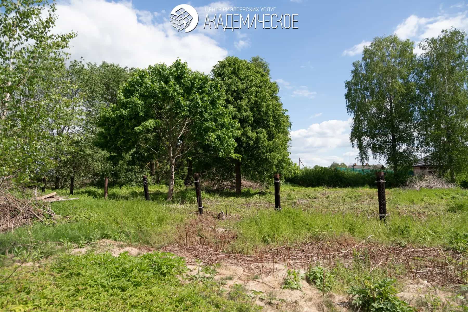 Беларусь, Могилёвская область, Осиповичский район, агрогородок Вязье, Садовая улица, 9, фото 19