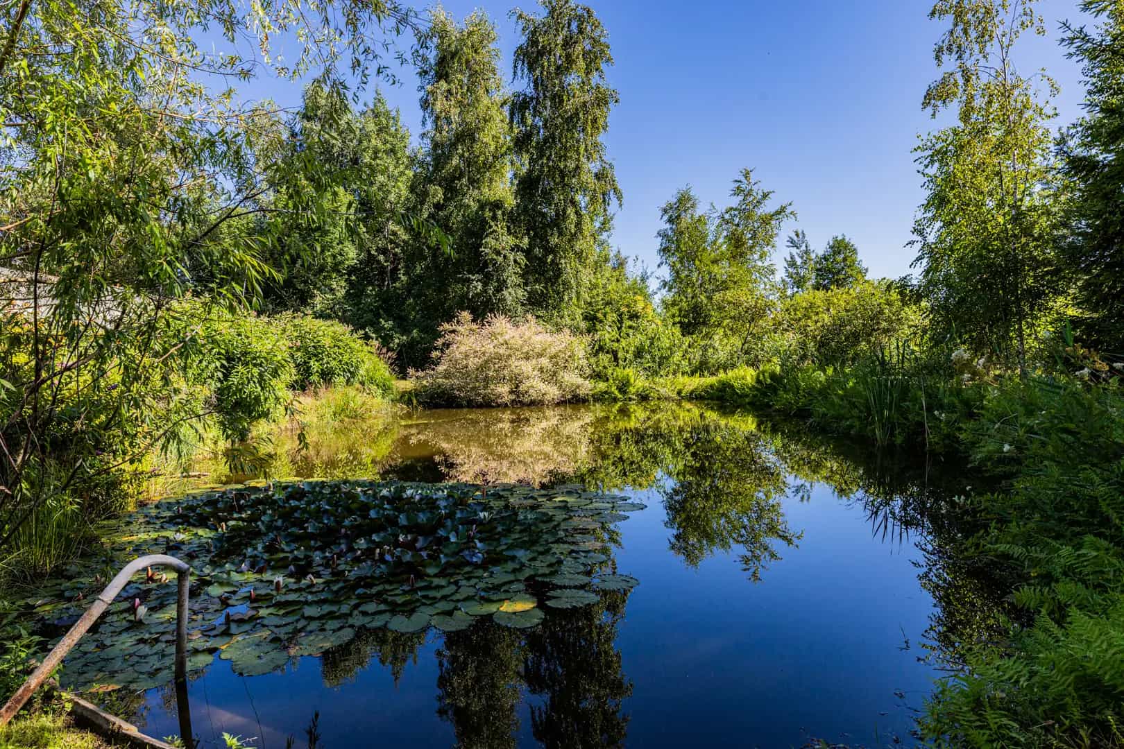 Беларусь, Витебская область, Браслав, улица Некрасова, 33, фото 26