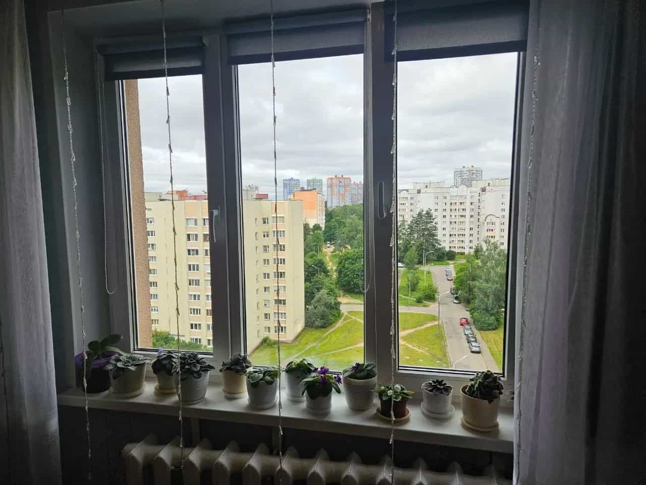 Беларусь, Минск, улица Карвата, 31, фото 5