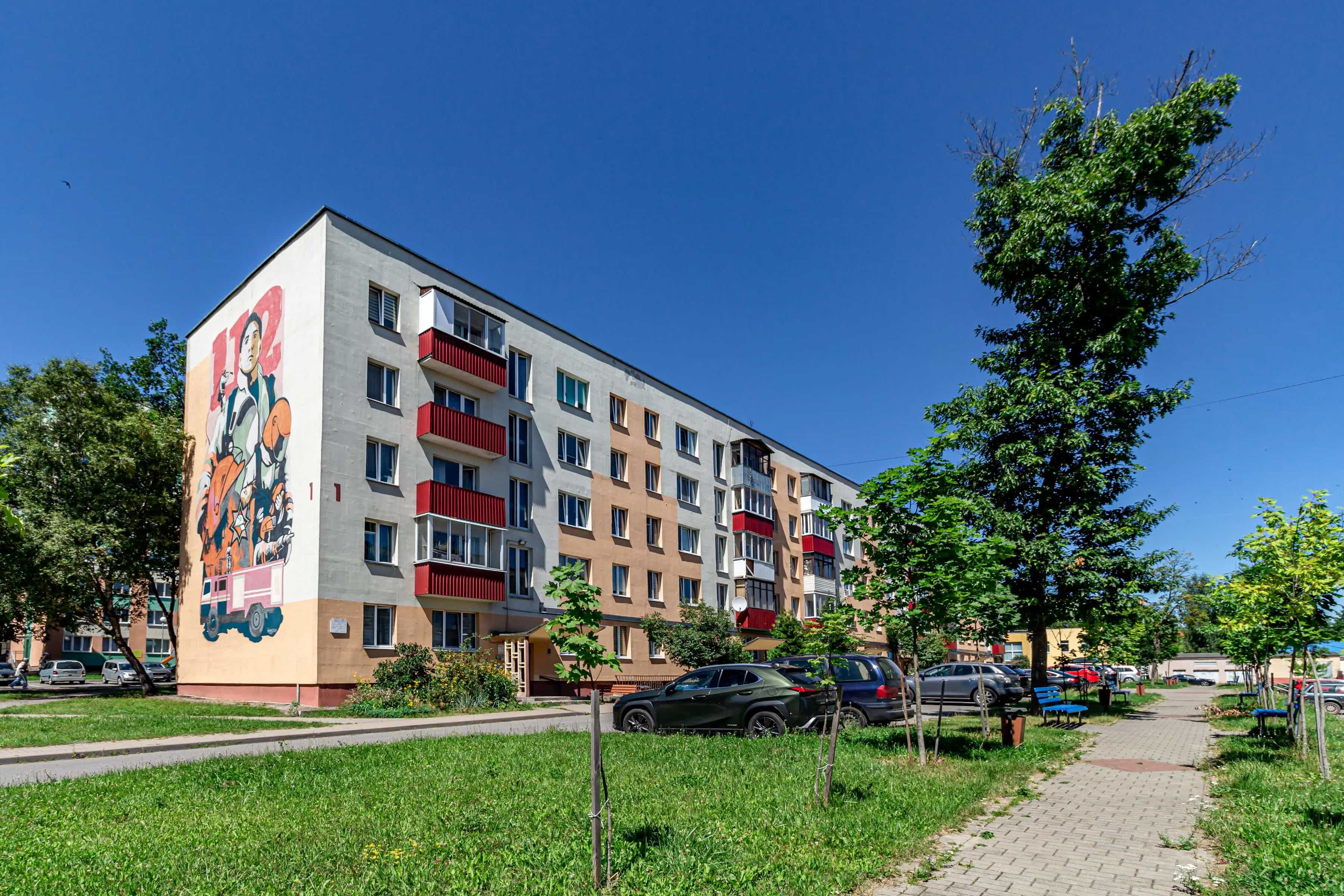 Беларусь, Минский район, Боровлянский сельсовет, агрогородок Лесной, Мирная улица, 1, фото 31