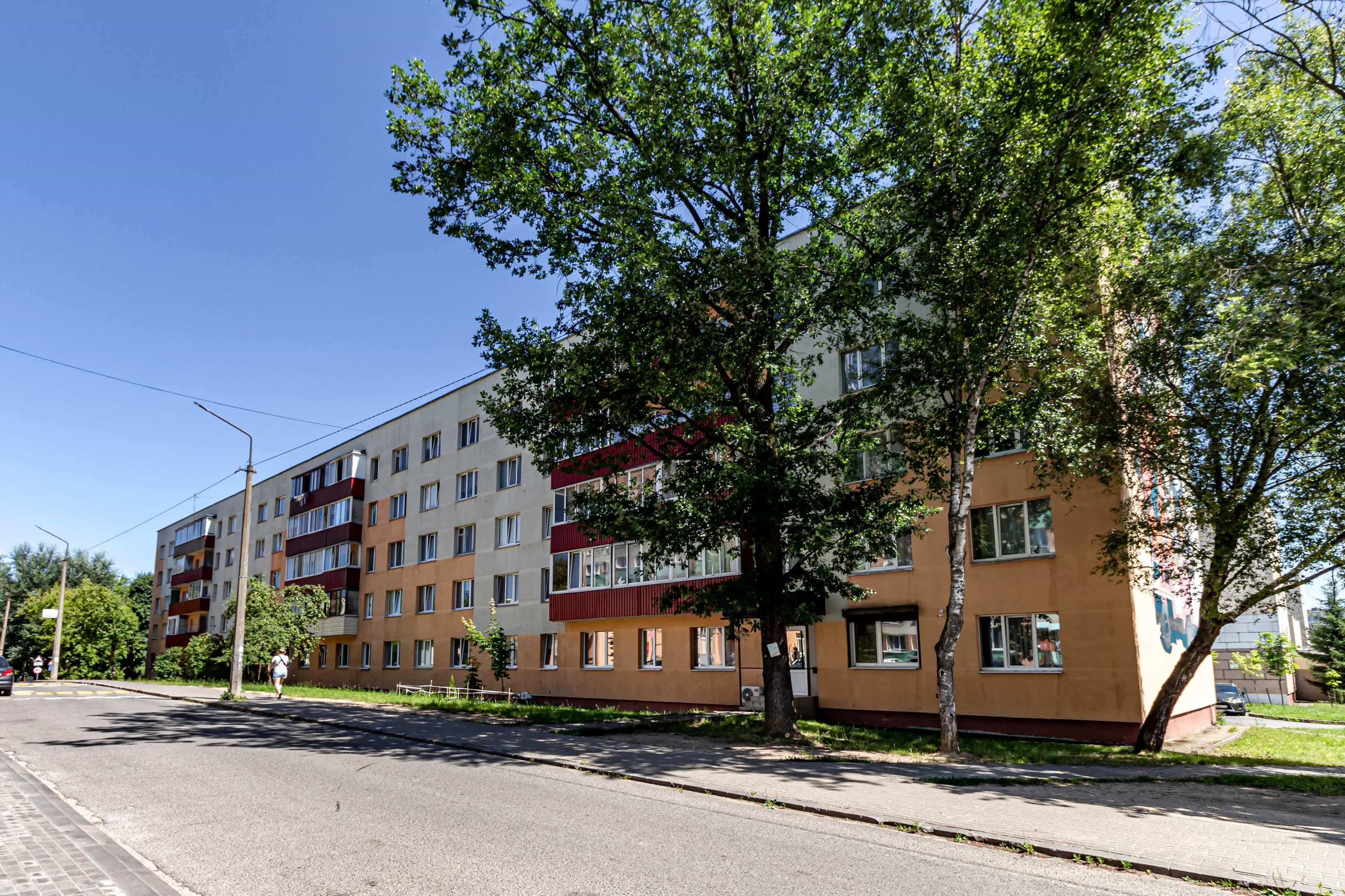 Беларусь, Минский район, Боровлянский сельсовет, агрогородок Лесной, Мирная улица, 1, фото 32