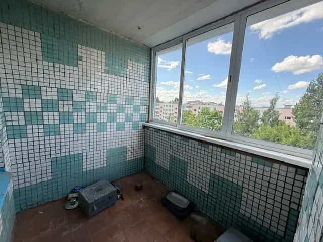 Беларусь, Витебская область, Орша, улица Георгия Семёнова, 27, фото 16