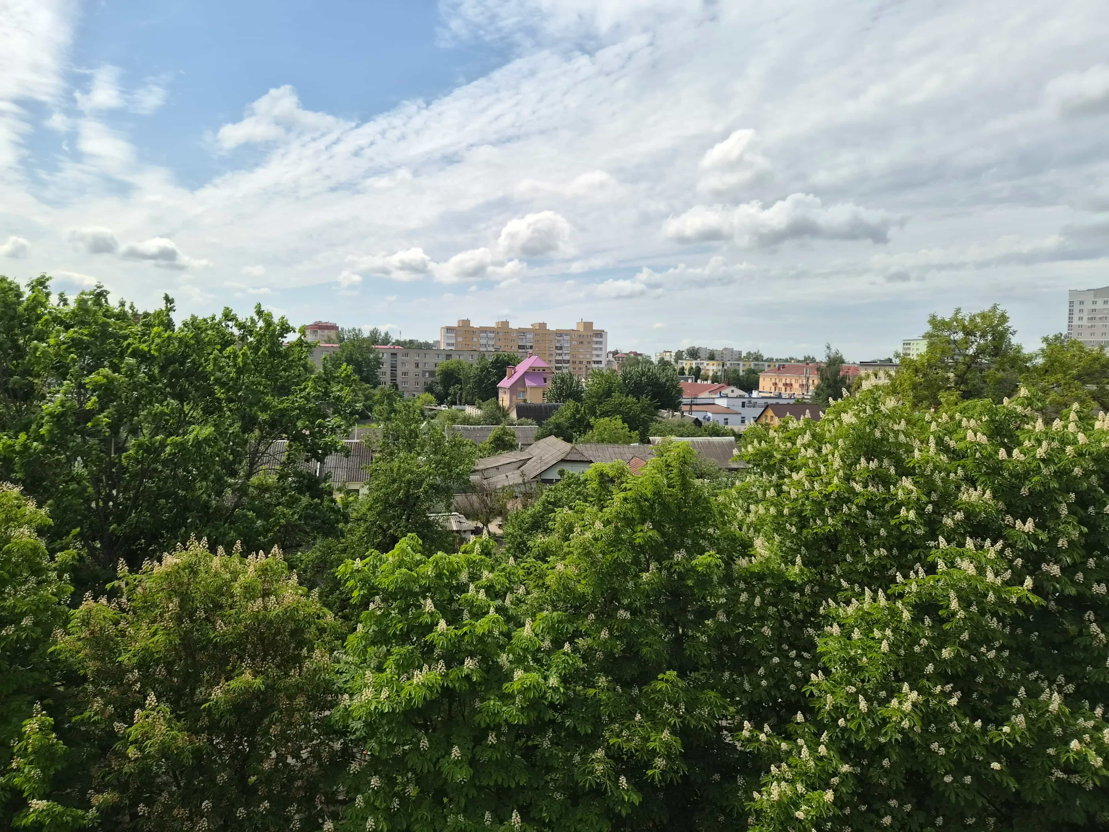 Беларусь, Могилёвская область, Бобруйск, Красноармейская улица, 50А, фото 14