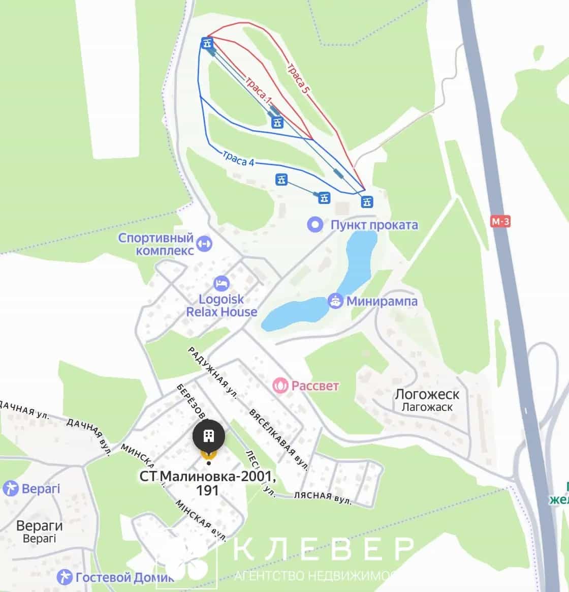 Беларусь, Минская область, Логойский сельсовет, СТ Малиновка-2001, 225, фото 8