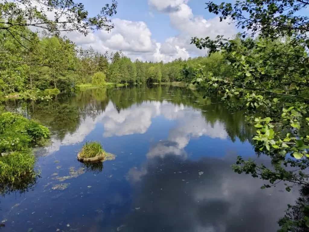 Беларусь, Минский район, Колодищанский сельсовет, деревня Глебковичи, Лесная улица, 3, фото 5