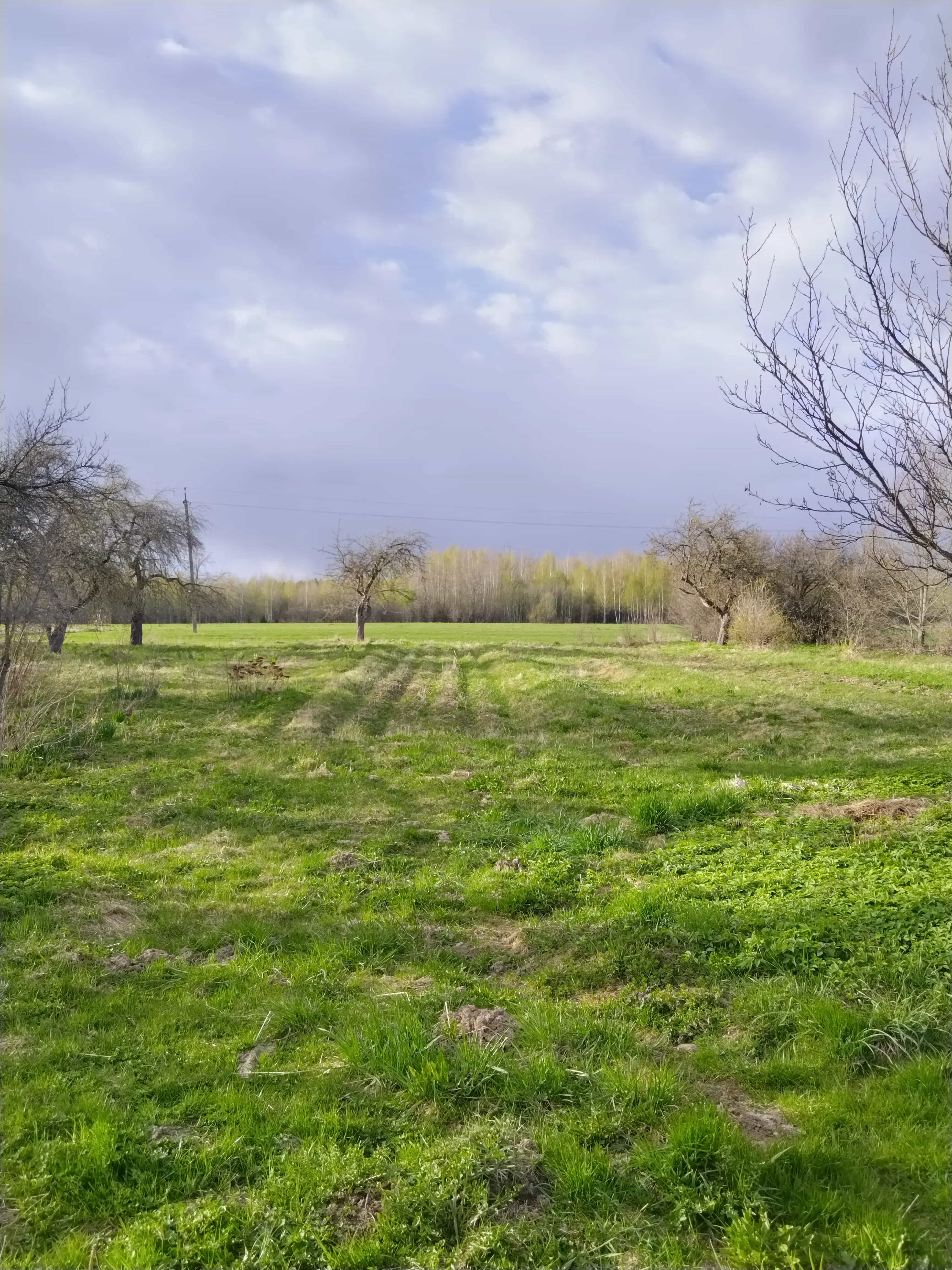 Беларусь, Витебская область, Оршанский район, Бабиничский сельсовет, деревня Румино, Центральная улица, 69