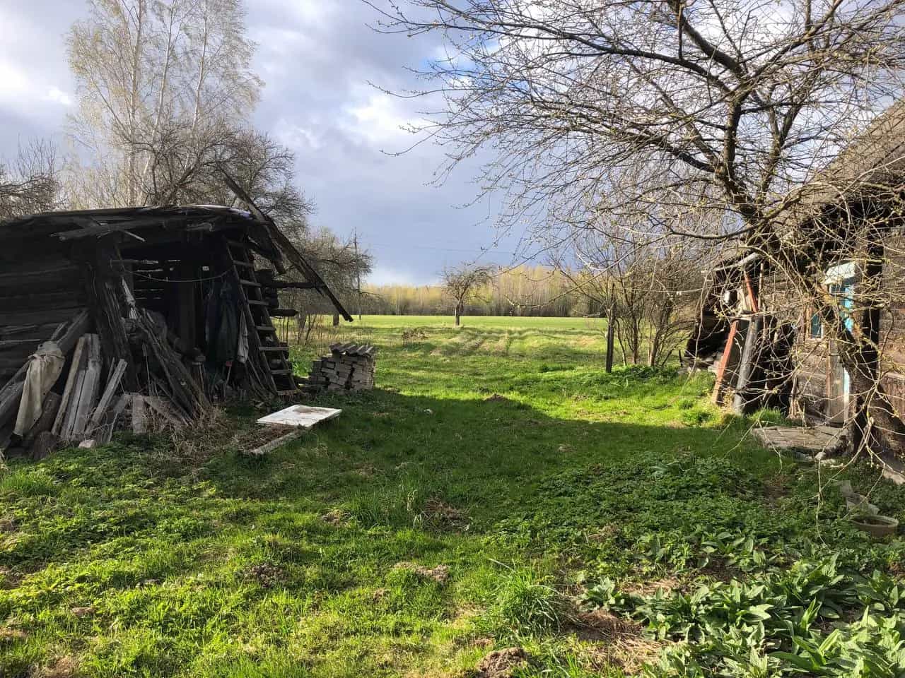Беларусь, Витебская область, Оршанский район, Бабиничский сельсовет, деревня Румино, Центральная улица, 69, фото 2