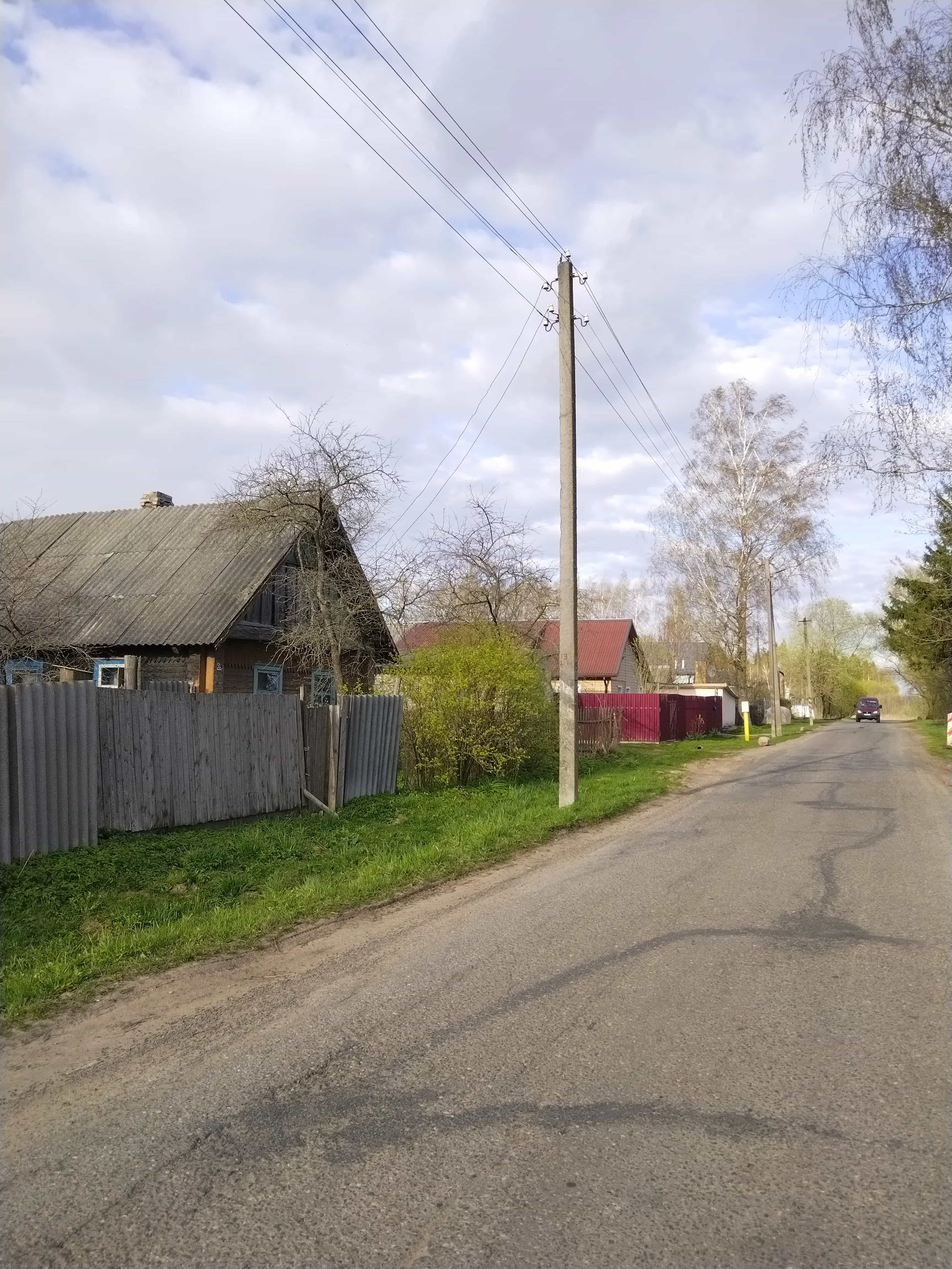 Беларусь, Витебская область, Оршанский район, Бабиничский сельсовет, деревня Румино, Центральная улица, 69, фото 4
