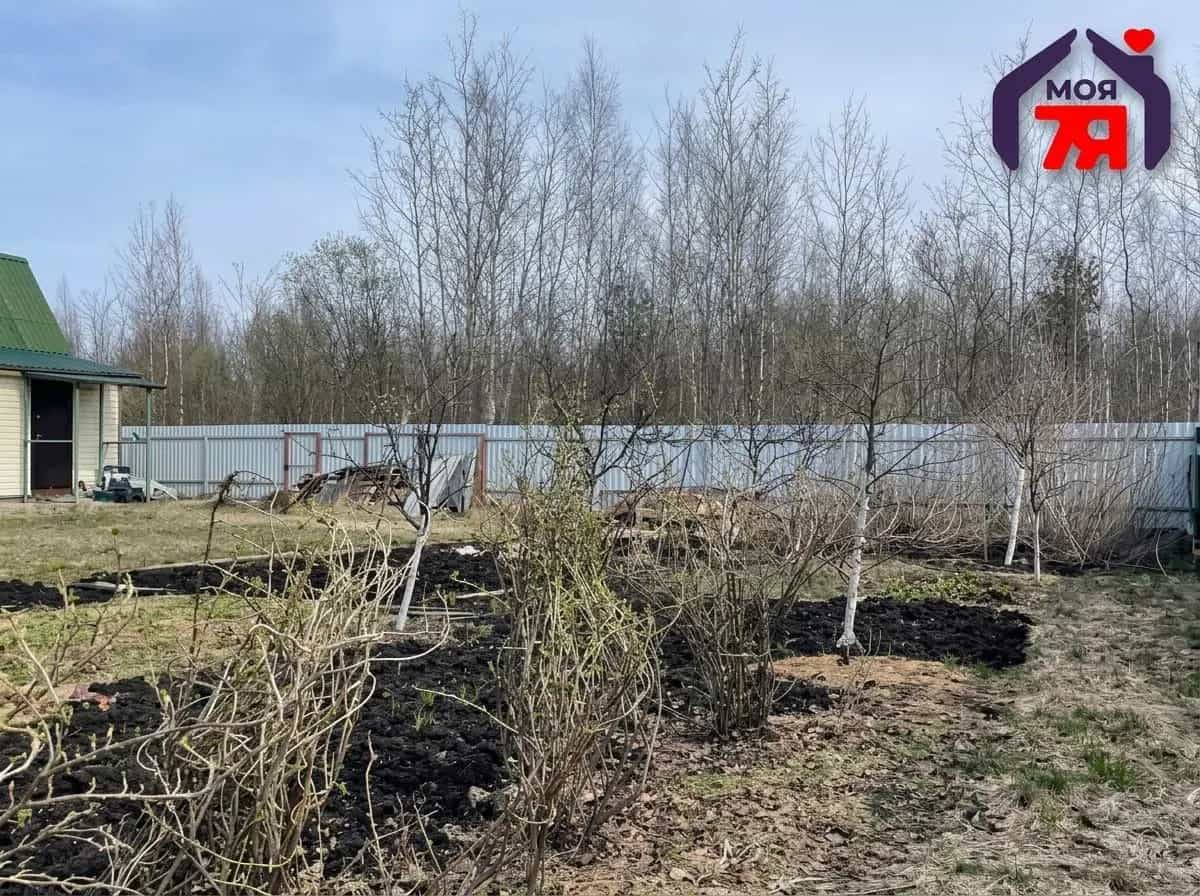 Беларусь, Минский район, Луговослободской сельсовет, СТ Новые Земли, 89, фото 12