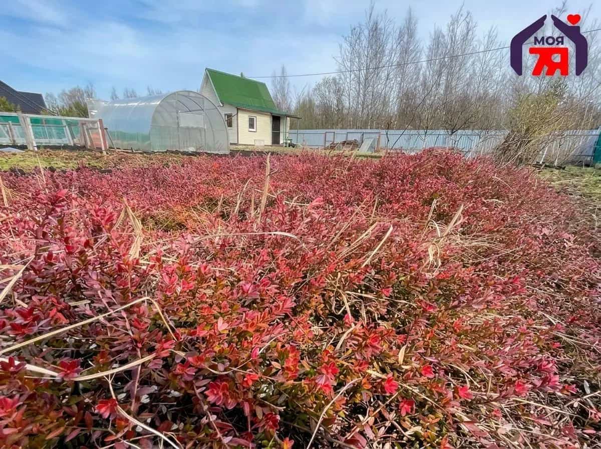 Беларусь, Минский район, Луговослободской сельсовет, СТ Новые Земли, 89, фото 14