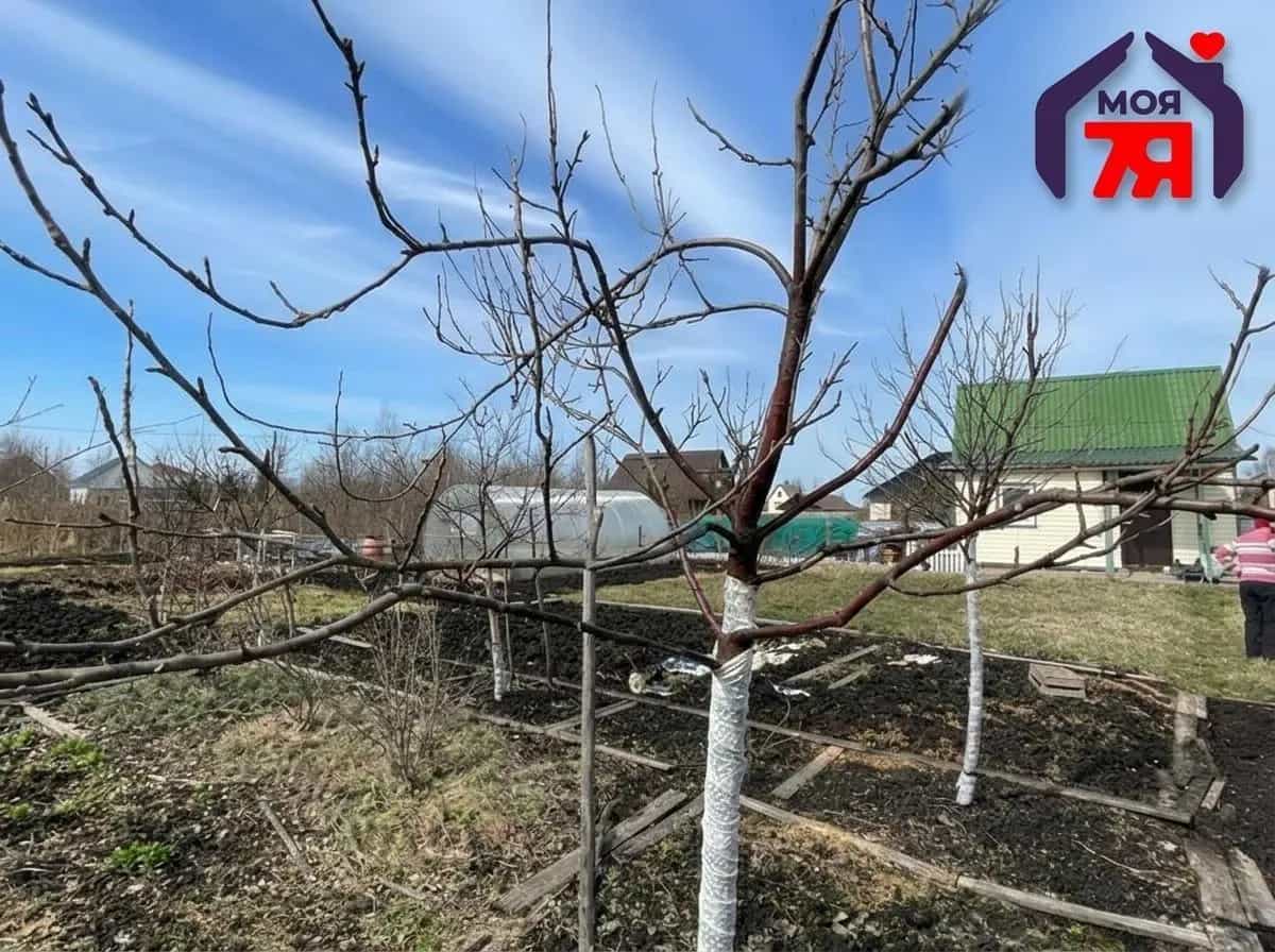 Беларусь, Минский район, Луговослободской сельсовет, СТ Новые Земли, 89, фото 16