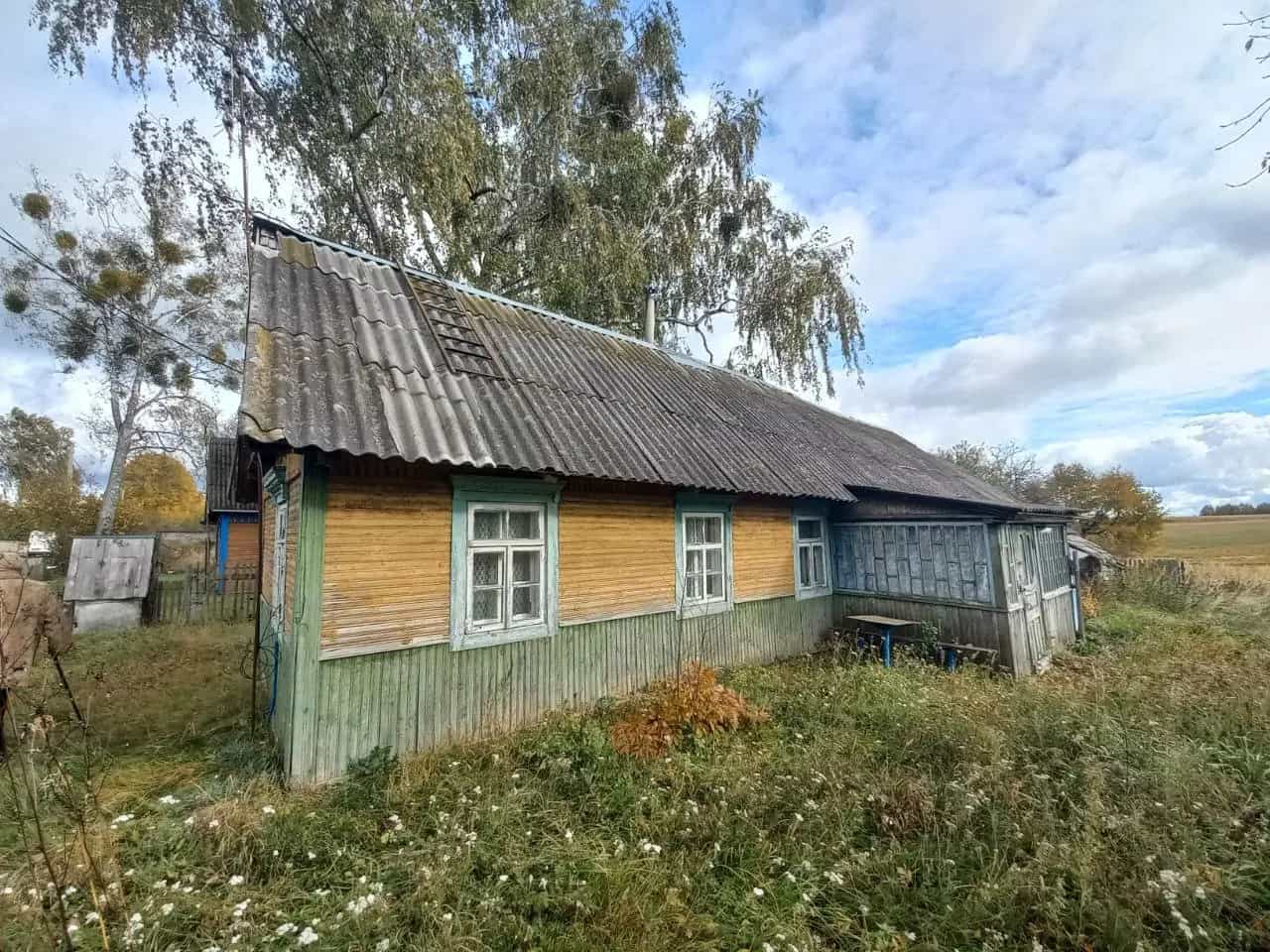 Беларусь, Брестская область, Барановичский район, Новомышский сельсовет, деревня Могиляны, 20, фото 11